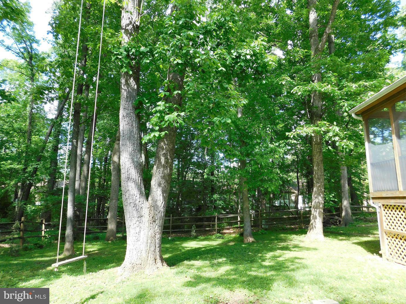 2352 Paddock Lane Reston, VA 20191 - Photo 27 of 30 Beautiful Treed