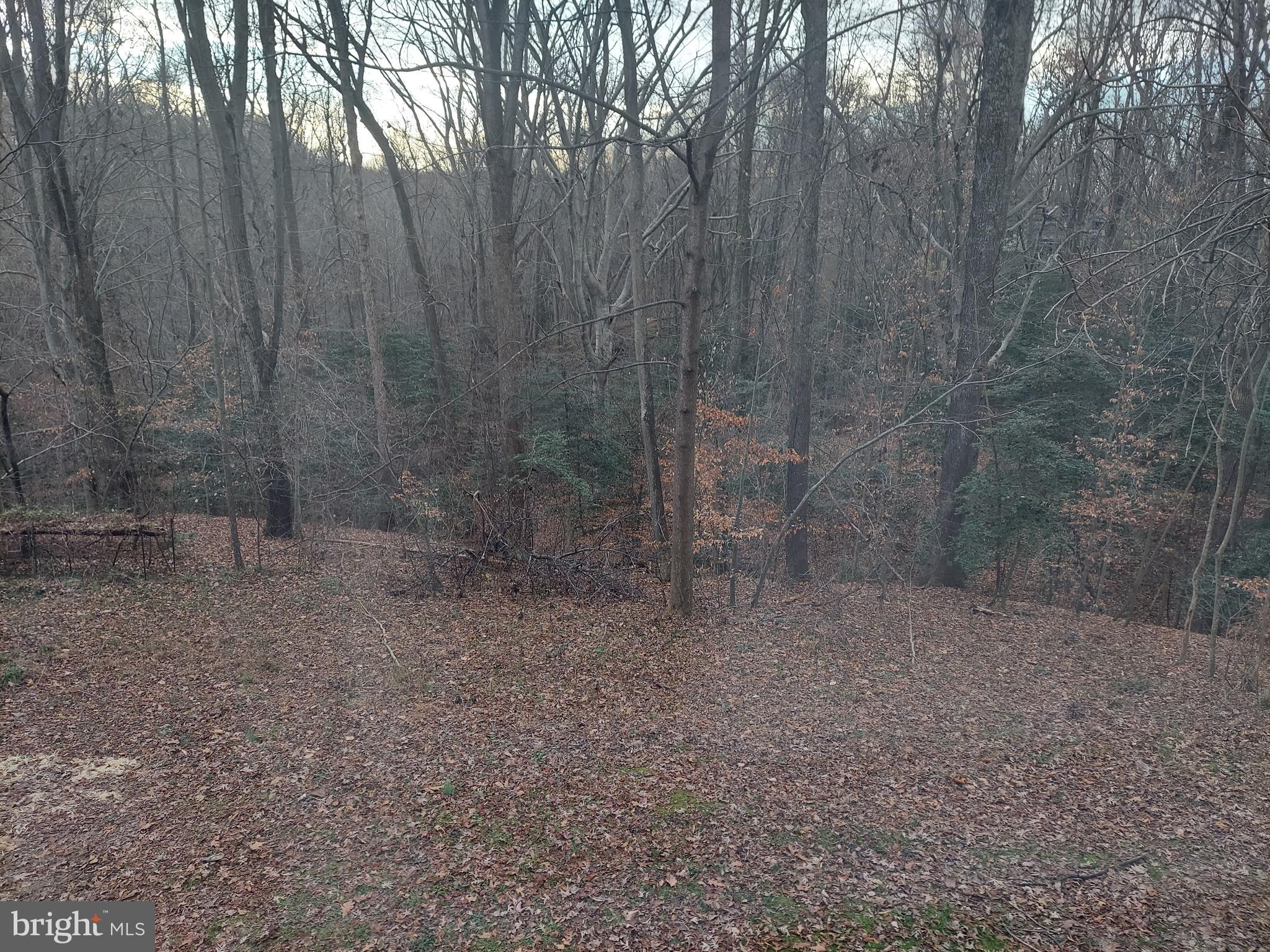 5368 Caledon Road King George, VA 22485 - Photo 7 of 14 Gallery Image 7