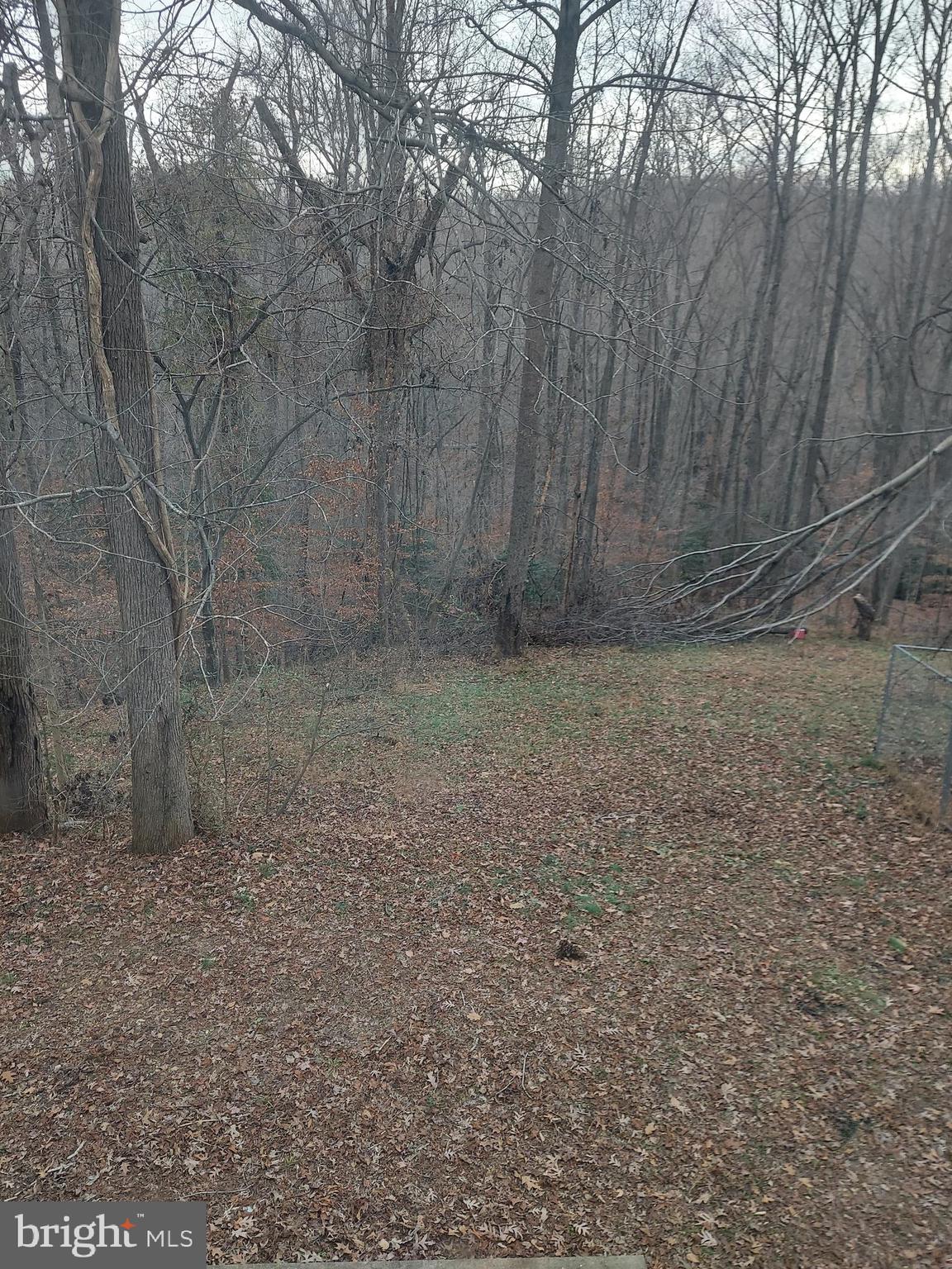 5368 Caledon Road King George, VA 22485 - Photo 8 of 14 Gallery Image 8