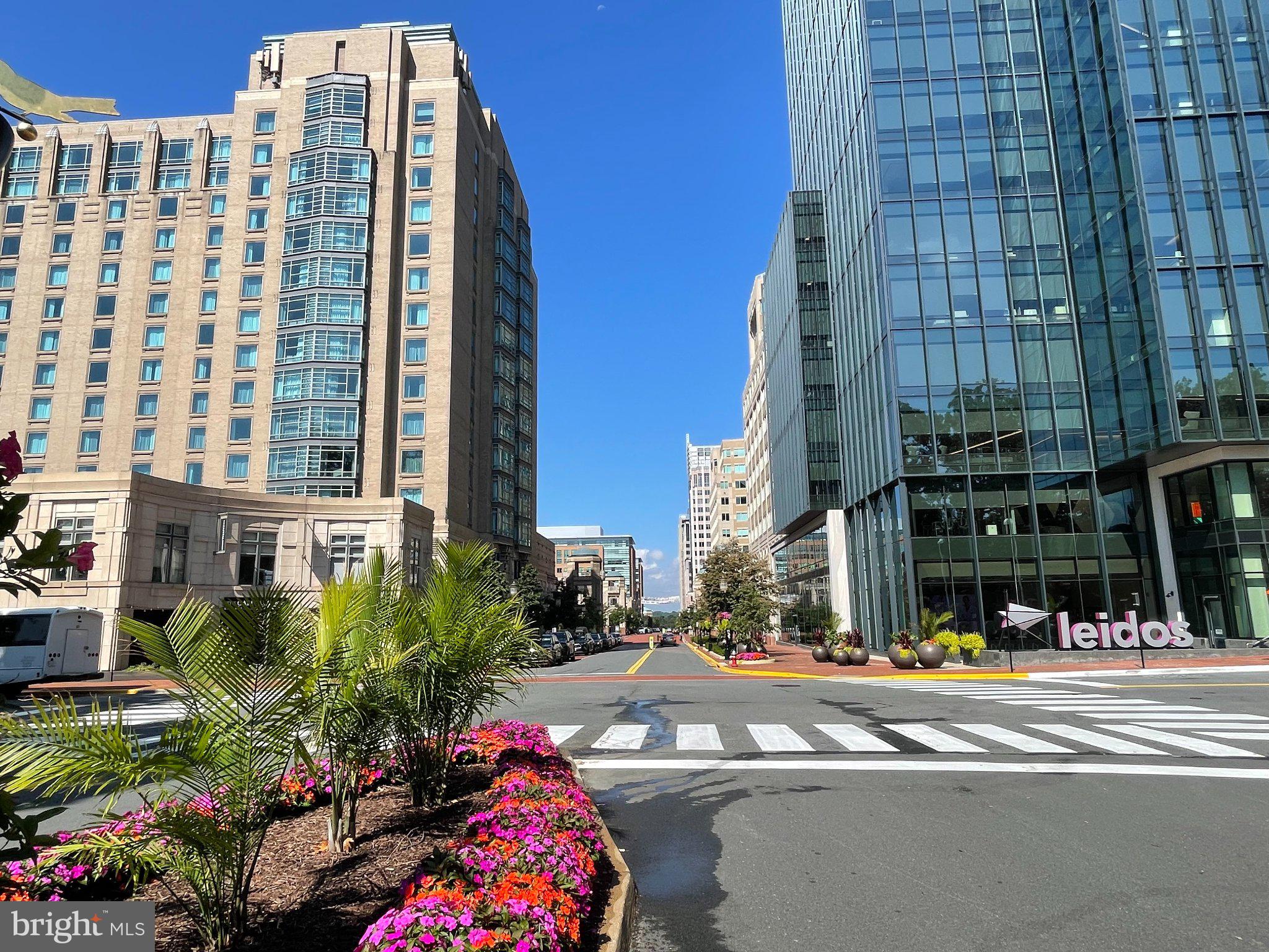 11081 Pelham Manor Place Reston, VA 20194 - Photo 86 of 99 Vibrant urban scene with modern flair.