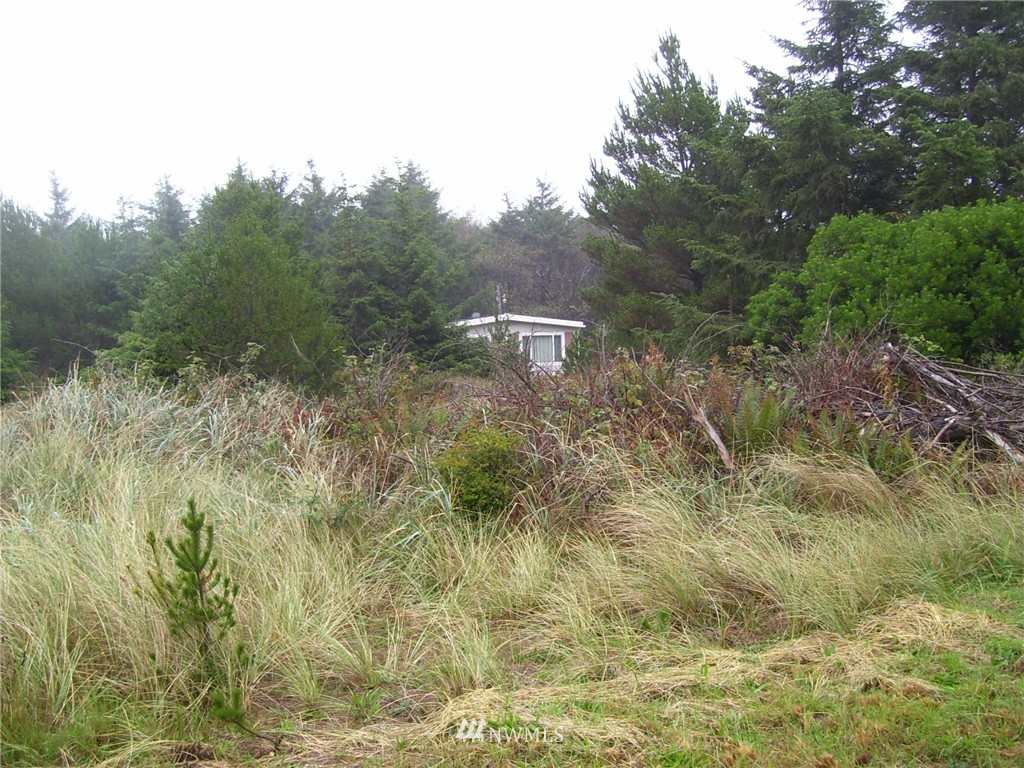46 McCullough Road Copalis Beach, WA 98535 - Photo 1 of 7 Gallery Image 1