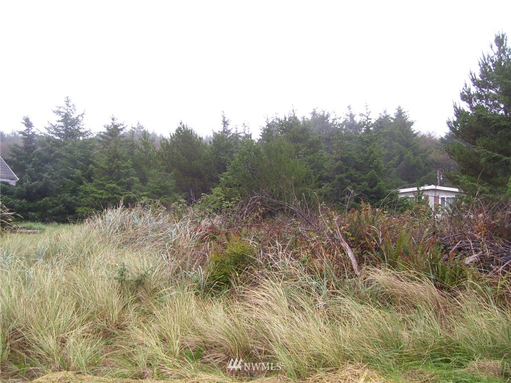 46 McCullough Road Copalis Beach, WA 98535 - Photo 2 of 7 Gallery Image 2