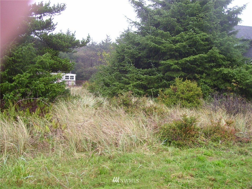 46 McCullough Road Copalis Beach, WA 98535 - Photo 5 of 7 Gallery Image 5