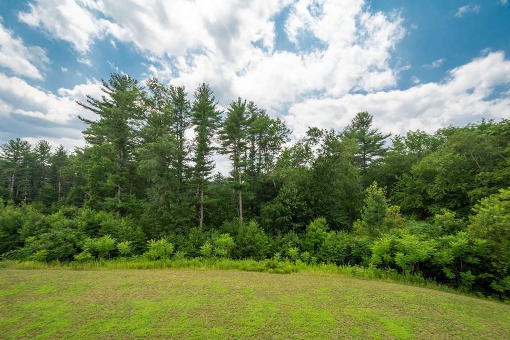 3 Quail Ridge Road Merrimac, MA 01860 - Photo 14 of 36 a view of a green yard