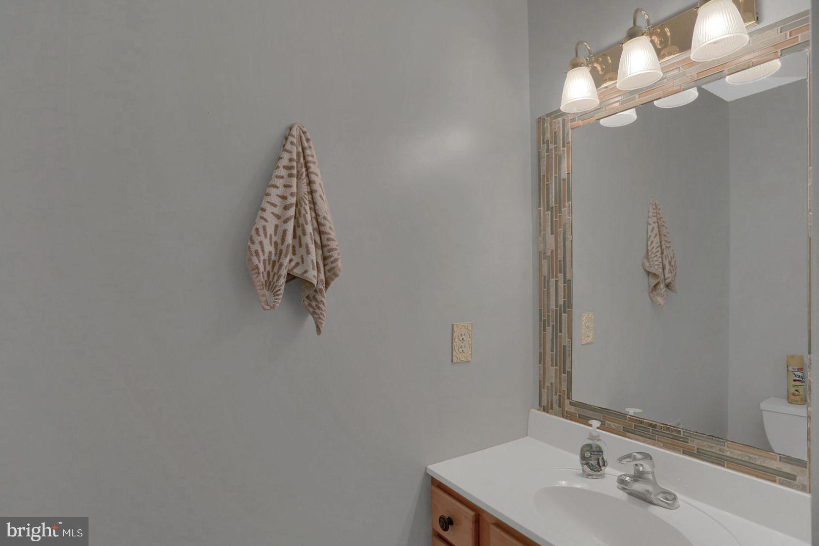 339 Candy Road Mohnton, PA 19540 - Photo 32 of 39 Powder Room