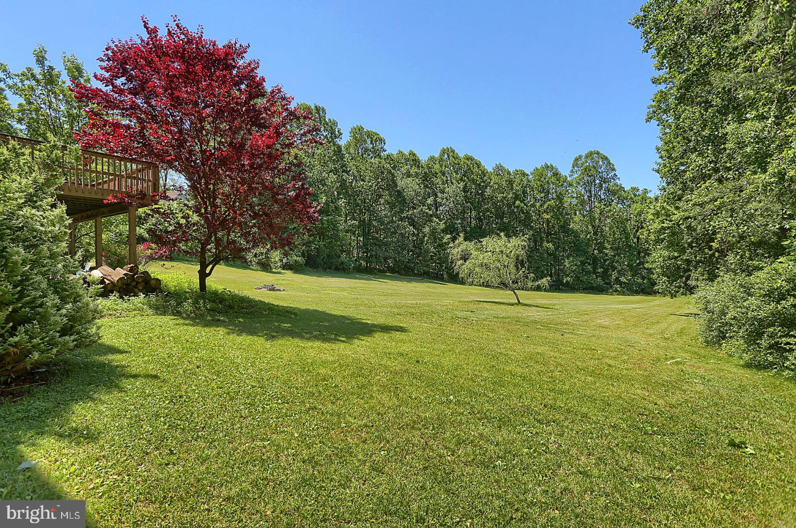 339 Candy Road Mohnton, PA 19540 - Photo 36 of 39 Back Yard