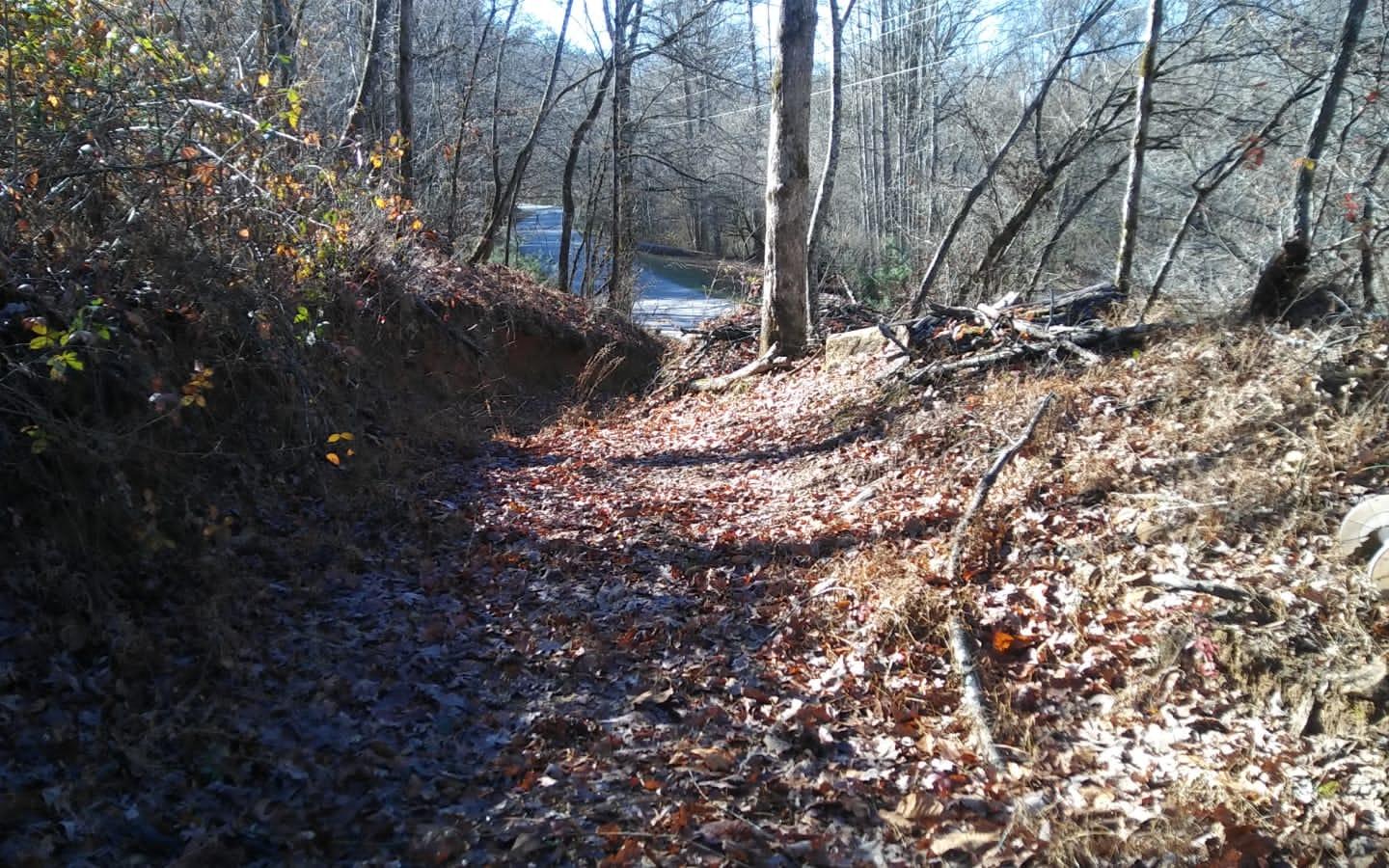 Lot 2 Hidden Valley Road Morganton, GA 30560 - Photo 3 of 4 Additional View
