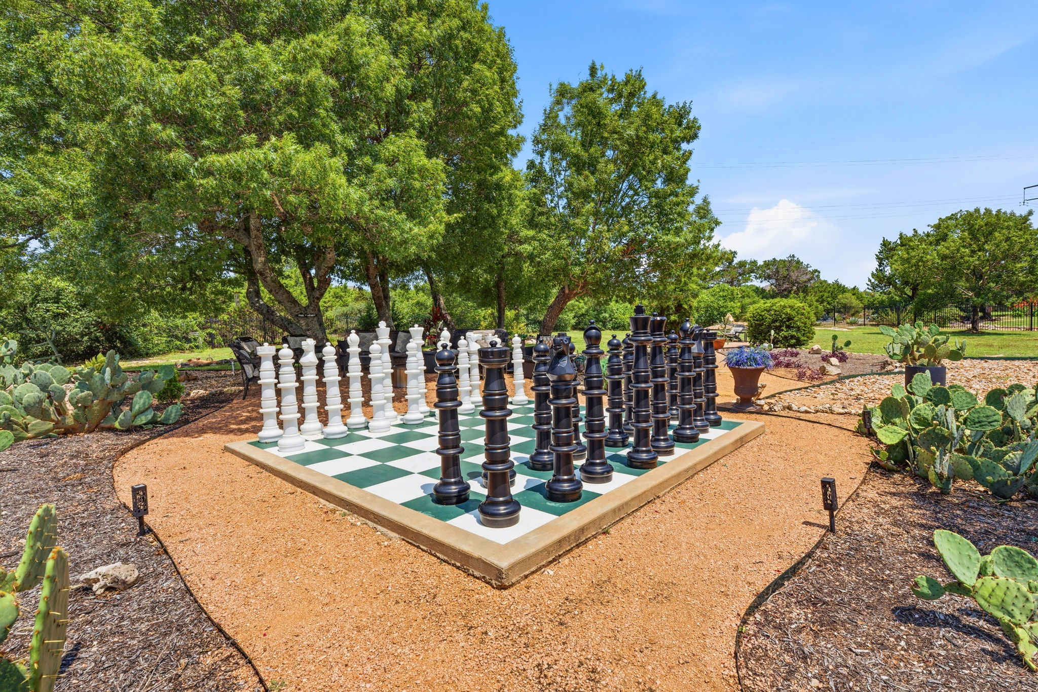 816 Brave Face Street Leander, TX 78641 - Photo 36 of 40 An oversized chess set creates an engaging outdoor activity space amidst mature trees and desert landscaping.