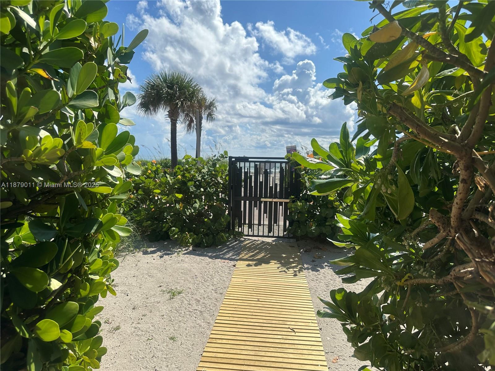 5415 Collins Avenue, Unit 302A Miami Beach, FL 33140 - Photo 15 of 20 a view of a pathway with plants