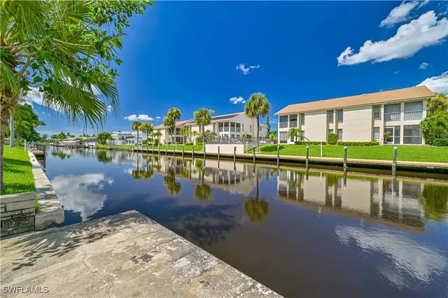 a view of a lake with boats and palm trees