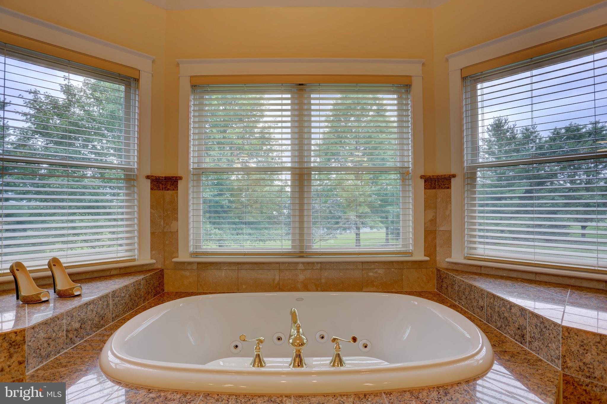 1001 Bluestone Drive Lititz, PA 17543 - Photo 35 of 86
