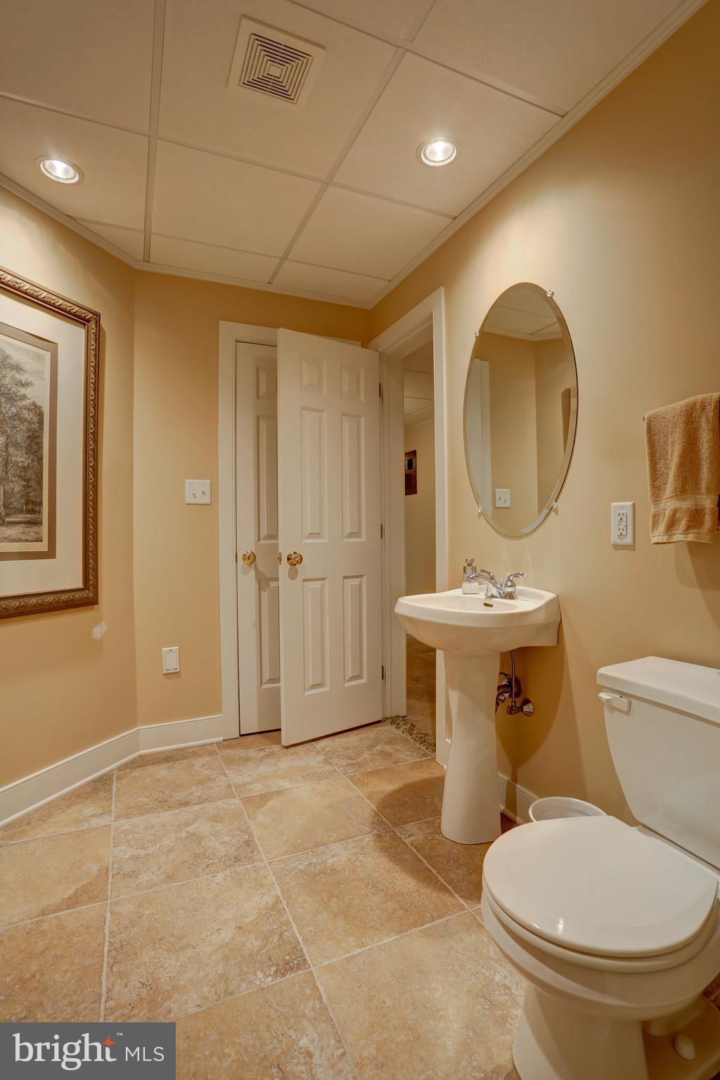 1001 Bluestone Drive Lititz, PA 17543 - Photo 49 of 86