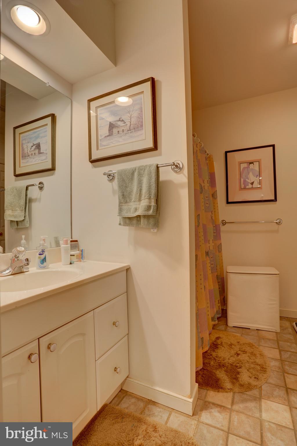 1001 Bluestone Drive Lititz, PA 17543 - Photo 65 of 86