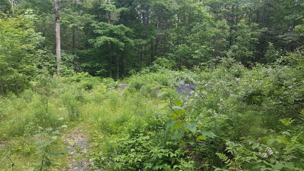 34 Orchard Hill Road Temple, ME 04984 - Photo 16 of 16 Photo