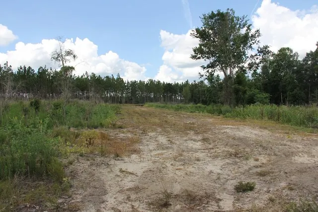 $413,000 | 0 Limestone Road, Orangeburg, SC 29118