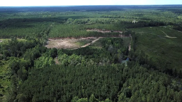 $413,000 | 0 Limestone Road, Orangeburg, SC 29118