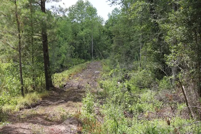 $413,000 | 0 Limestone Road, Orangeburg, SC 29118