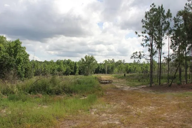 $413,000 | 0 Limestone Road, Orangeburg, SC 29118