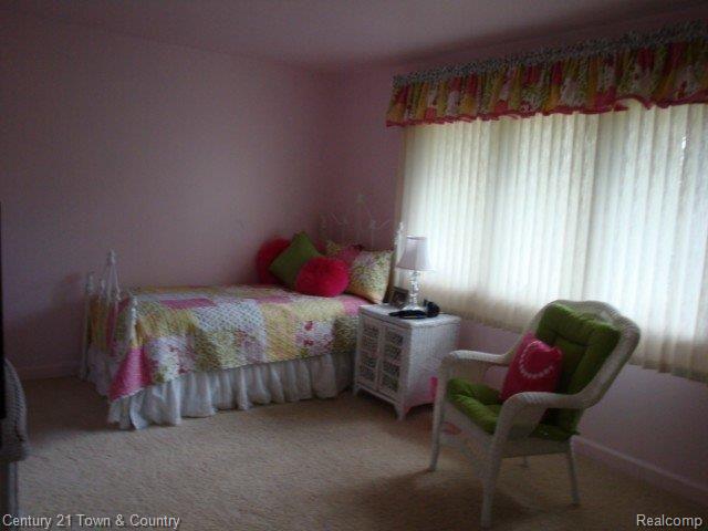79050 McFadden Road Armada, MI 48005 - Photo 18 of 23 18