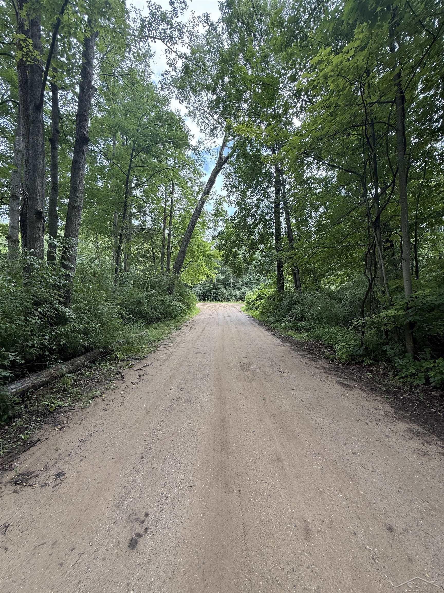 4477 Forest Road Harrison, MI 48625 - Photo 5 of 10