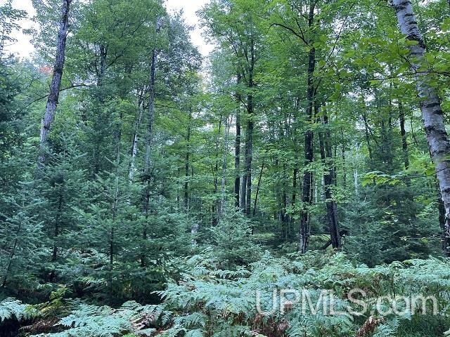 40-acres Stoneville Road Ishpeming, MI 49849 - Photo 4 of 7 Gallery Image 4