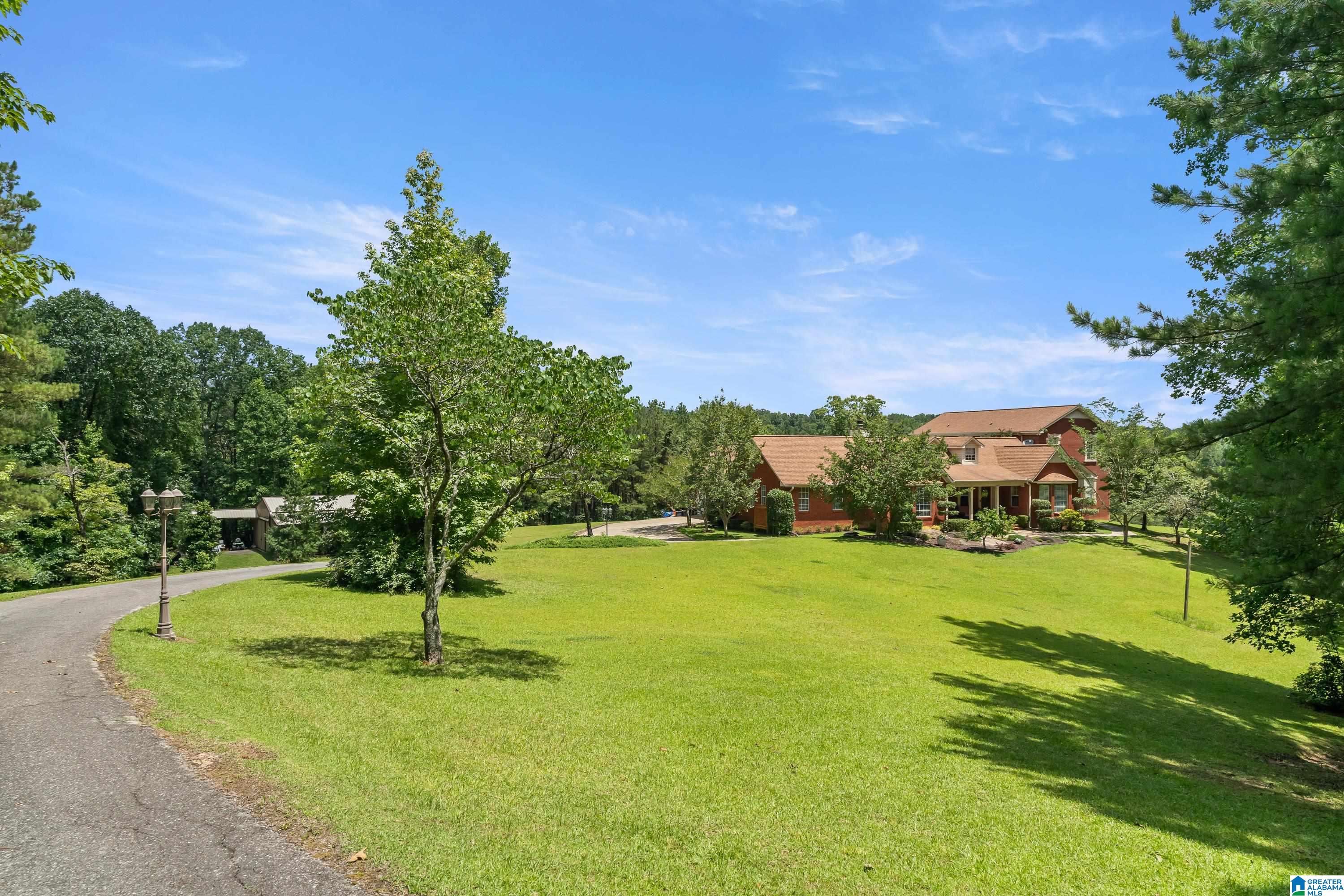 320 Wolf Pen Ridge Road Pell City, AL 35128 - Photo 6 of 100