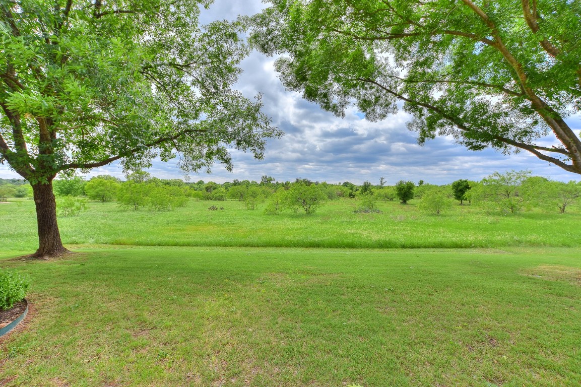 a view of a field with large trees