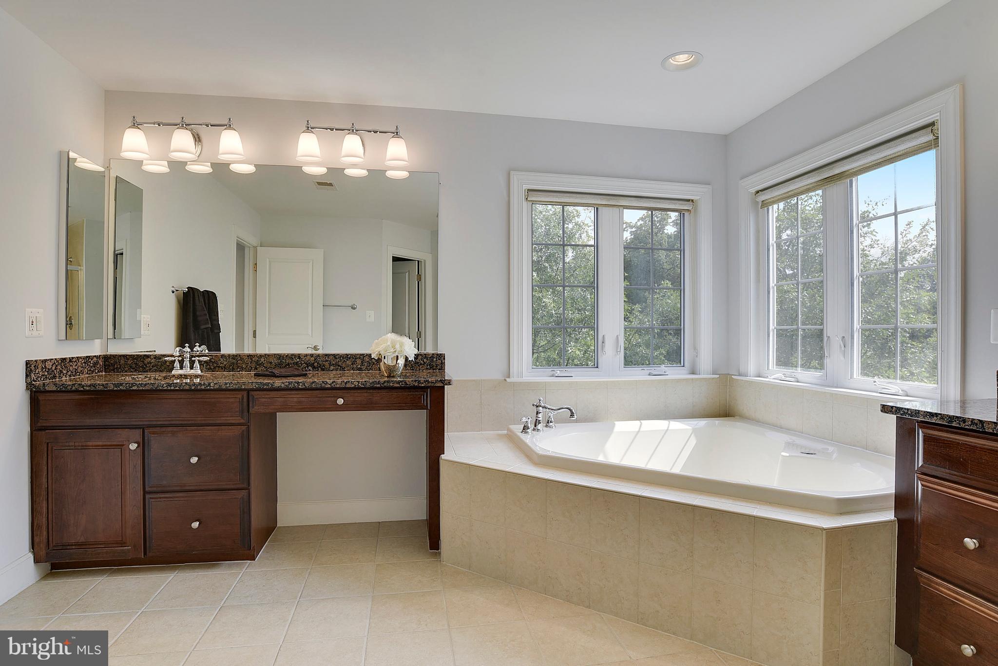 14554 Old Mill Road Centreville, VA 20121 - Photo 14 of 27 Granite counters and jetted soaking tub