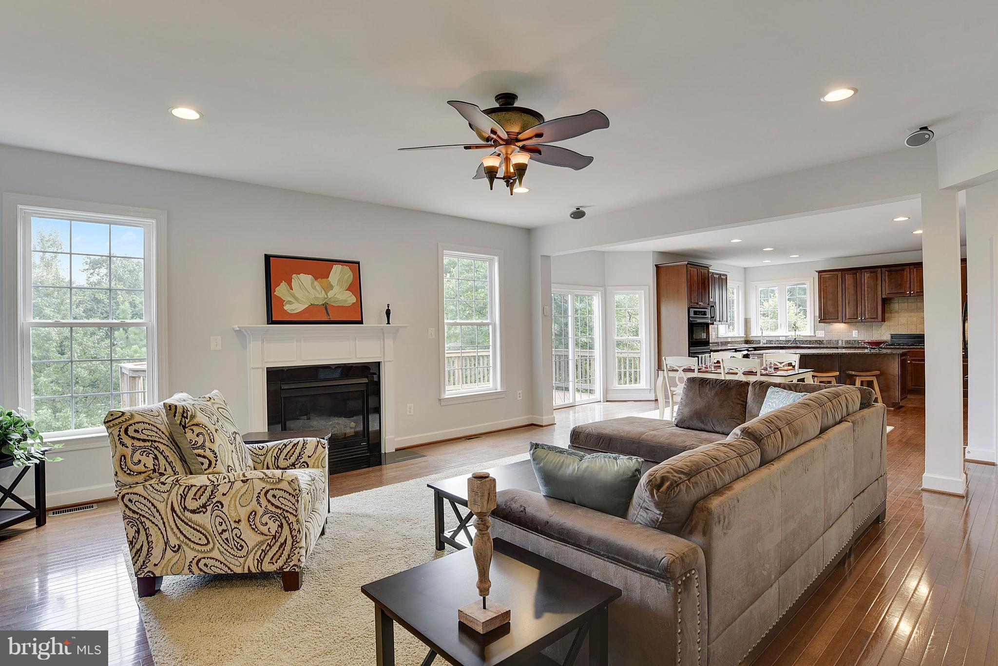 14554 Old Mill Road Centreville, VA 20121 - Photo 3 of 27 Family room with gas fireplace and surround sound
