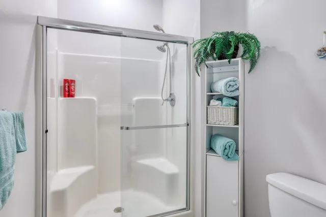 a bathroom with a shower and a toilet