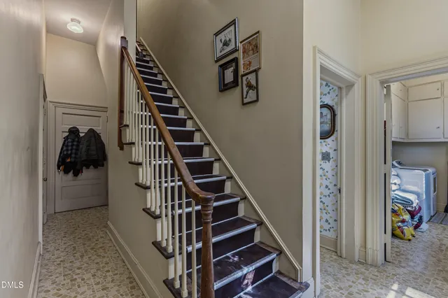 a view of a garden with plants and large trees