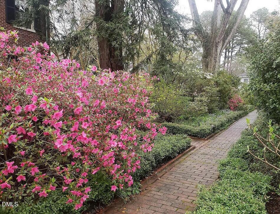 900 Nash Street North Wilson, NC 27893 - Photo 71 of 99 a bunch of flowers are in a yard