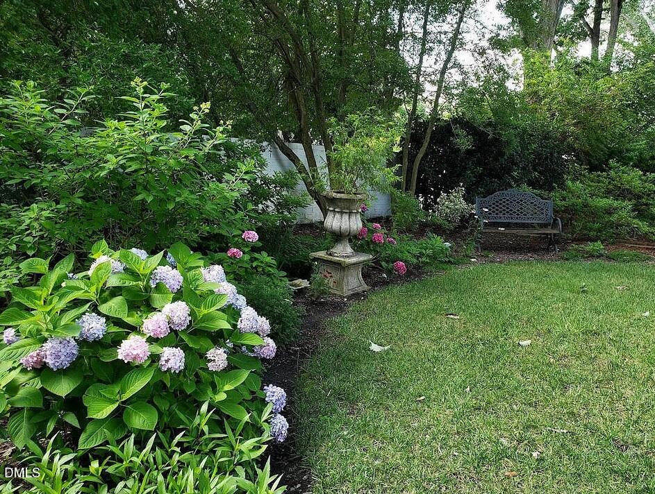 900 Nash Street North Wilson, NC 27893 - Photo 85 of 99 a backyard of a house with lots of green space