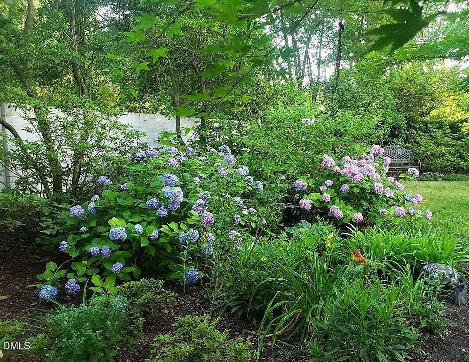 900 Nash Street North Wilson, NC 27893 - Photo 86 of 99 Garden