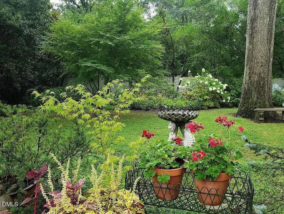 900 Nash Street North Wilson, NC 27893 - Photo 92 of 99 Garden