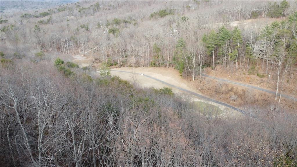 0 Mulligan Way Jasper, GA 30143 - Photo 4 of 7 a view of a forest that has a tree on it