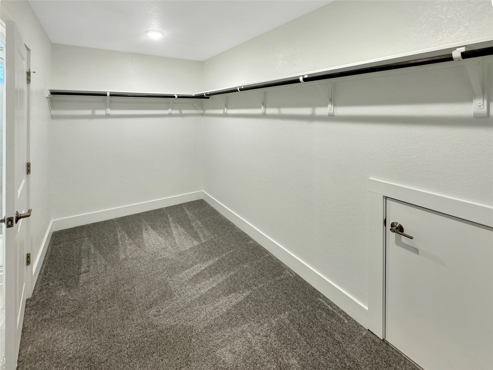1704 Carvin Way Pflugerville, TX 78660 - Photo 23 of 30 Primary Walk in closet