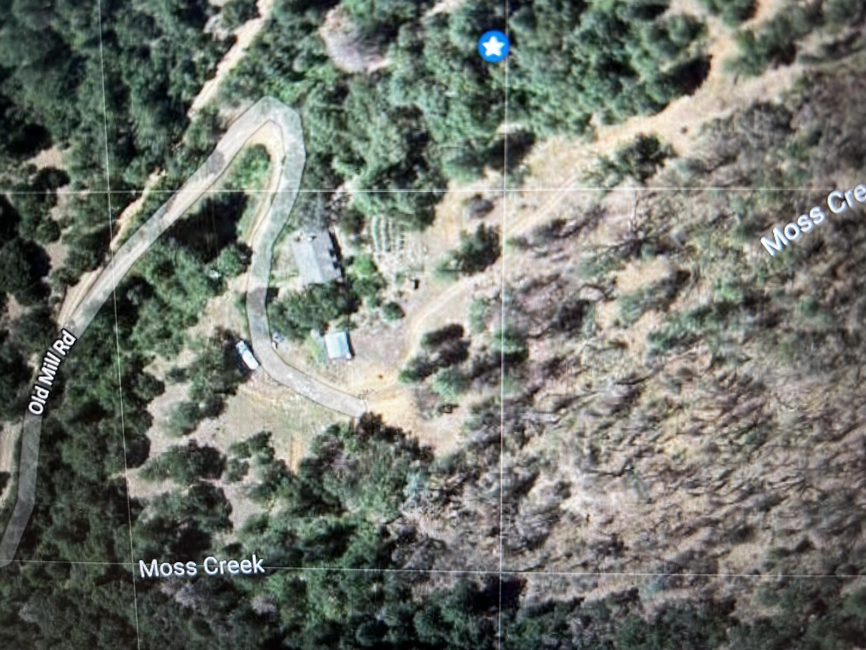 a view of a plant with a yard