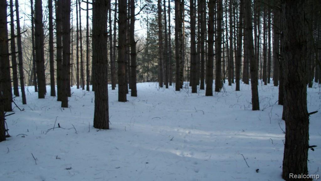 B Black River Road Croswell, MI 48422 - Photo 8 of 11 Gallery Image 8