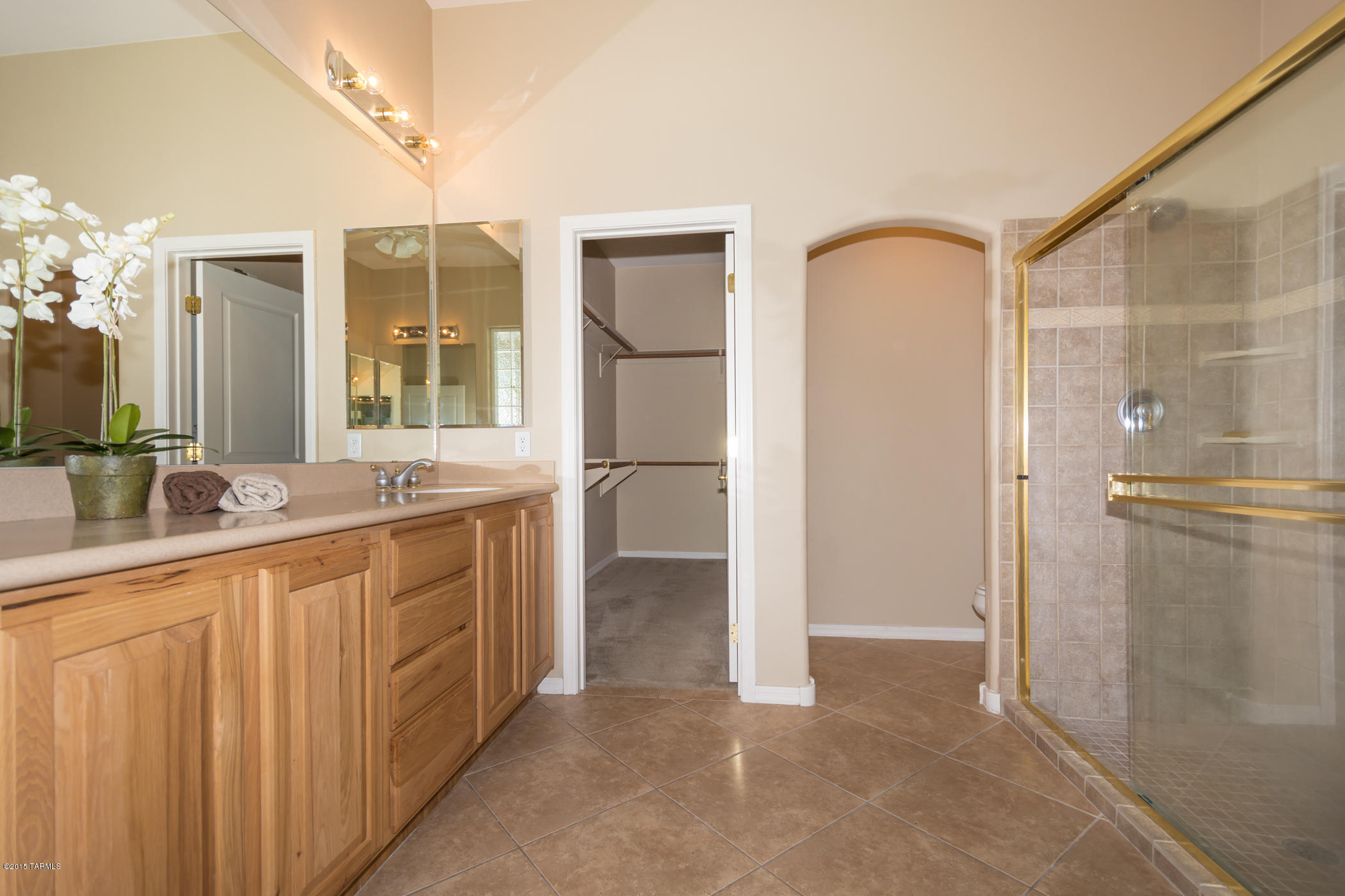 12679 North Spirit Mountain Road Tucson, AZ 85755 - Photo 16 of 43