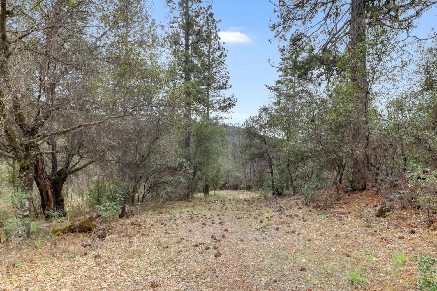 14349 Barn Owl Road Nevada City, CA 95959 - Photo 43 of 58