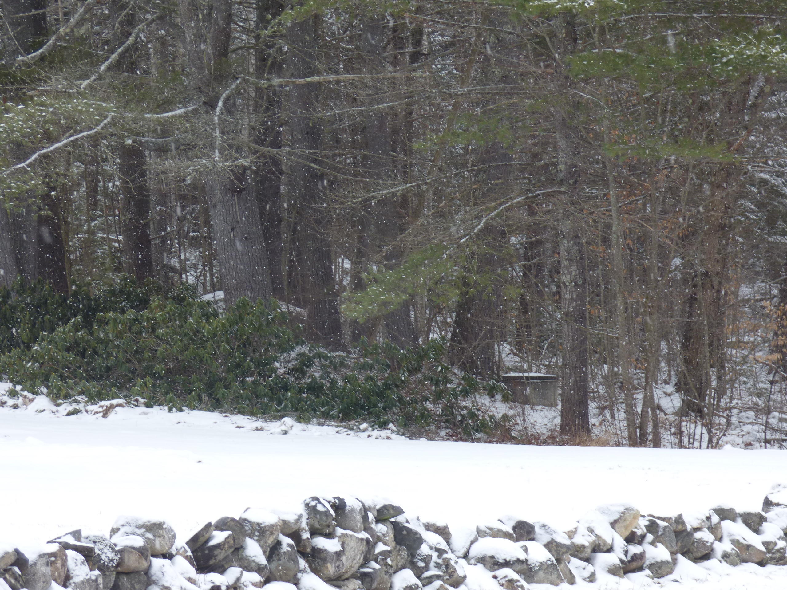 298 Libby Road West Newfield, ME 04095 - Photo 65 of 65 P1010985