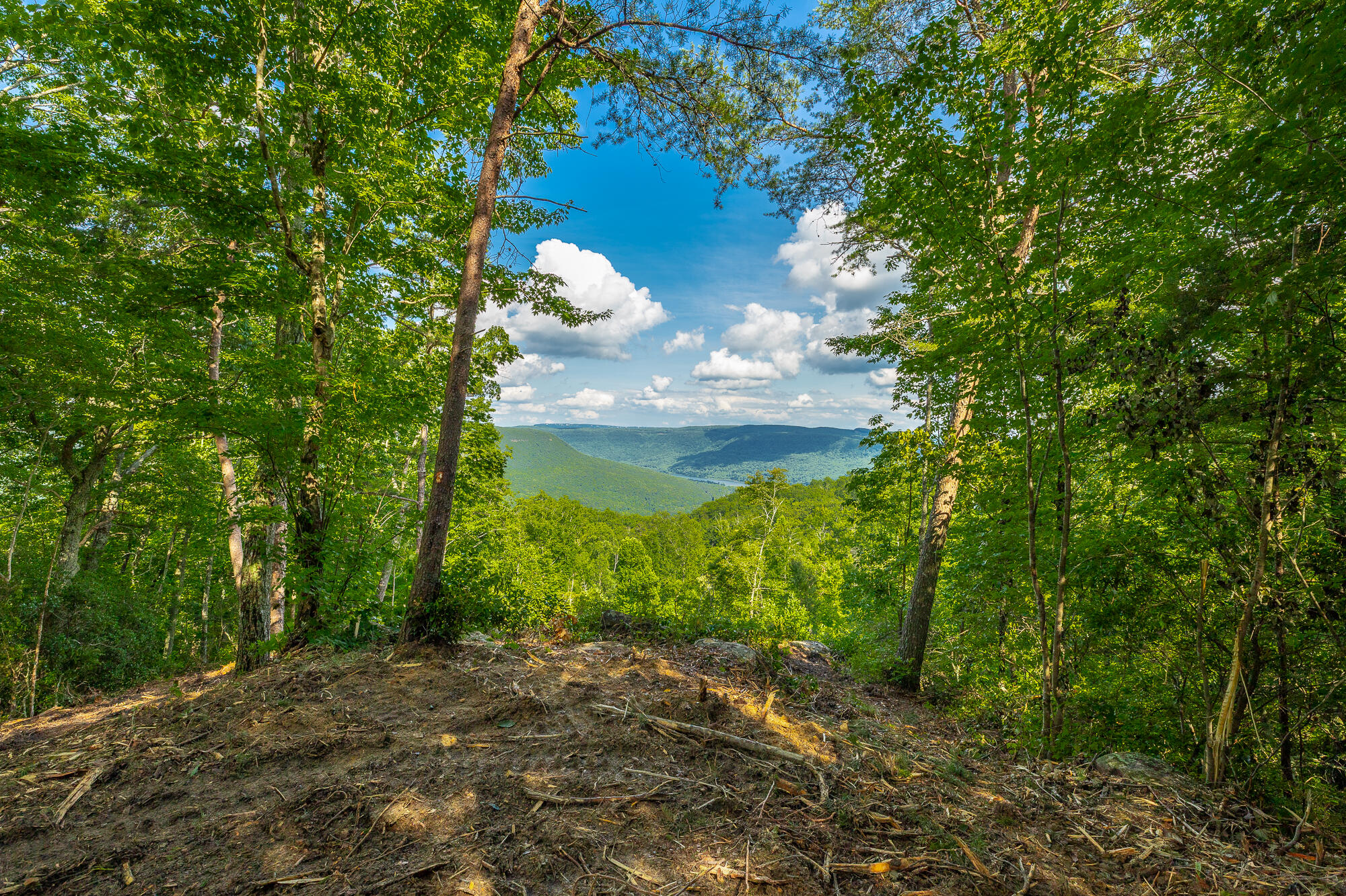 0 Back Basin Trail, Unit LOT 1244 Chattanooga, TN 37419 - Photo 3 of 119 MCW Correction HD-21