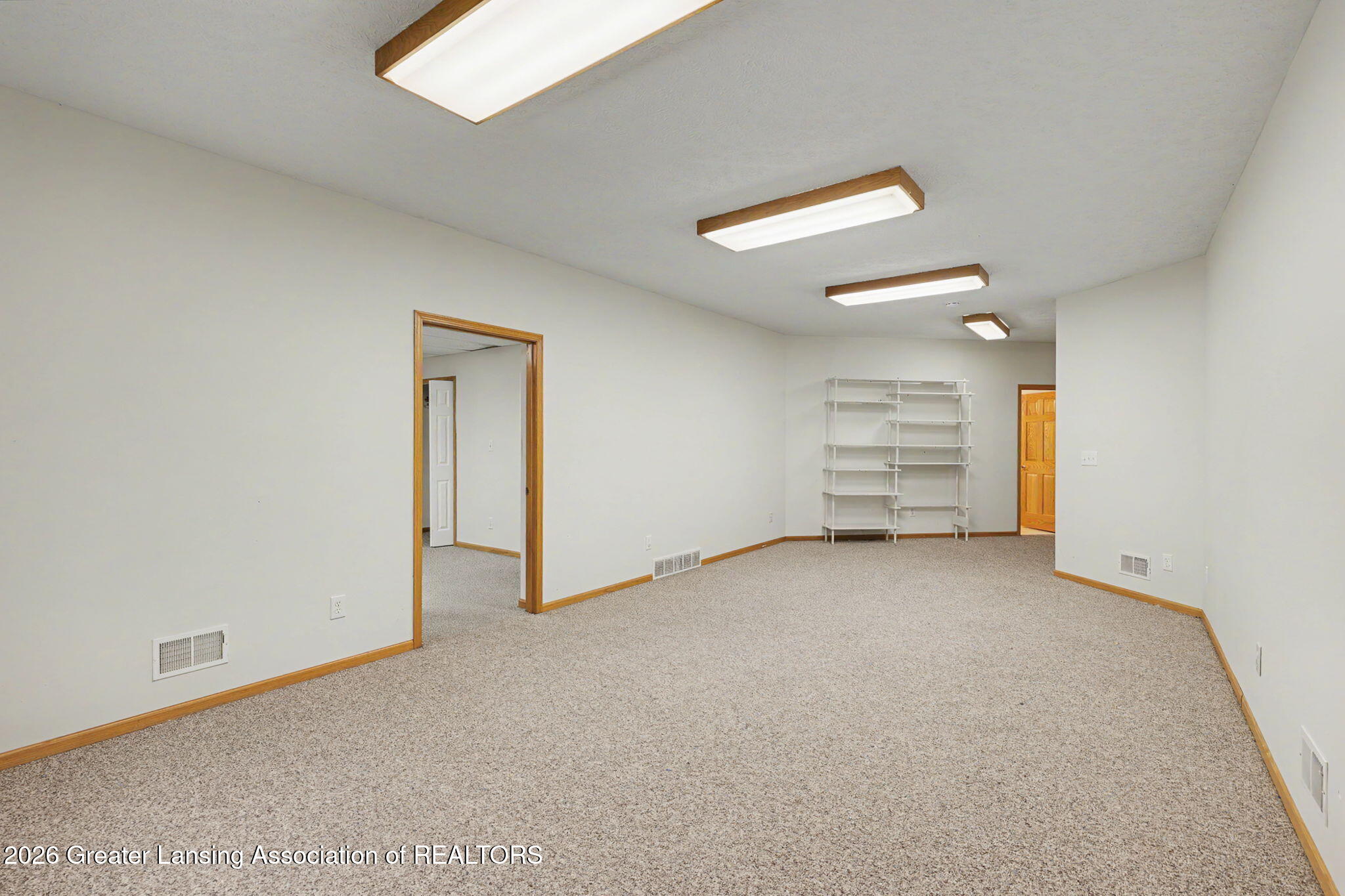 248 Birch Lane Dimondale, MI 48821 - Photo 28 of 44 28-web-or-mls-CQ1A2554