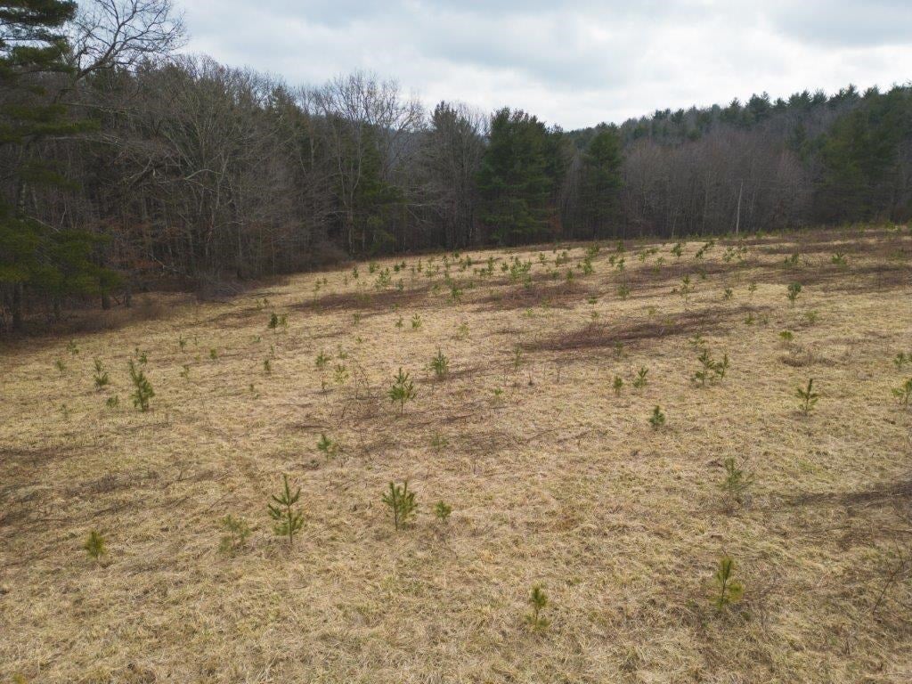 Tbd Long Mountain Road Southwest Willis, VA 24380 - Photo 19 of 66 Gallery Image 19