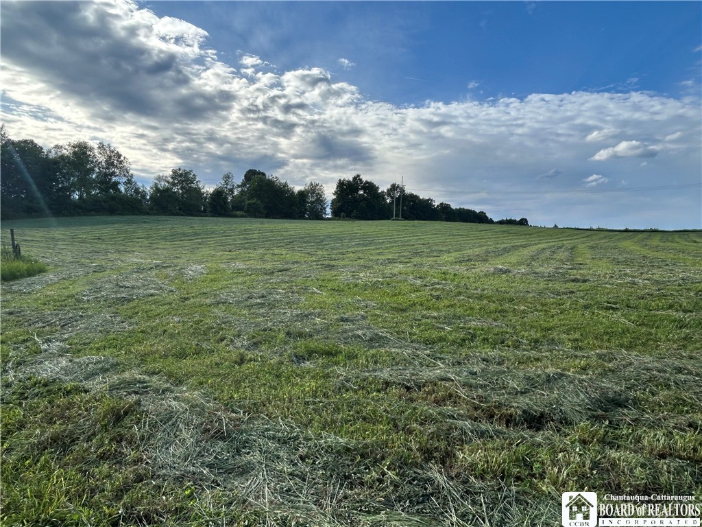 2492 Busti-Stillwater Road Jamestown, NY 14701 - Photo 6 of 33