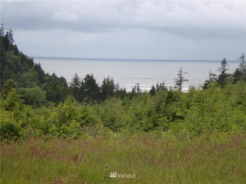 16 Lighthouse Keepers Road Ilwaco, WA 98624 - Photo 11 of 11 Gallery Image 11