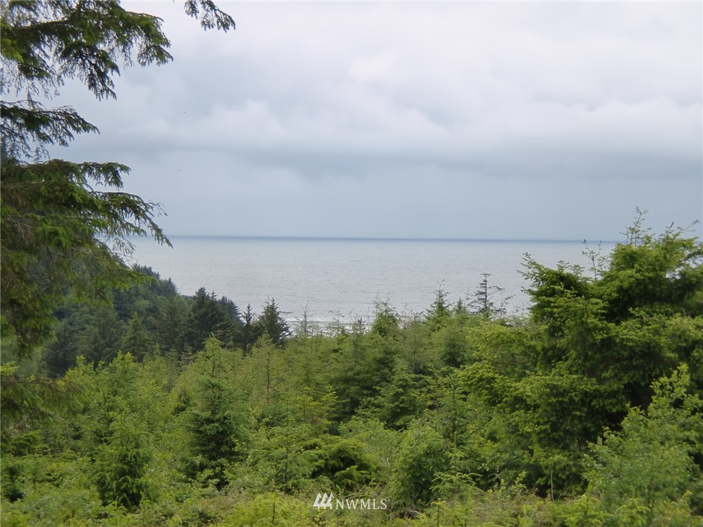 16 Lighthouse Keepers Road Ilwaco, WA 98624 - Photo 4 of 11 Gallery Image 4