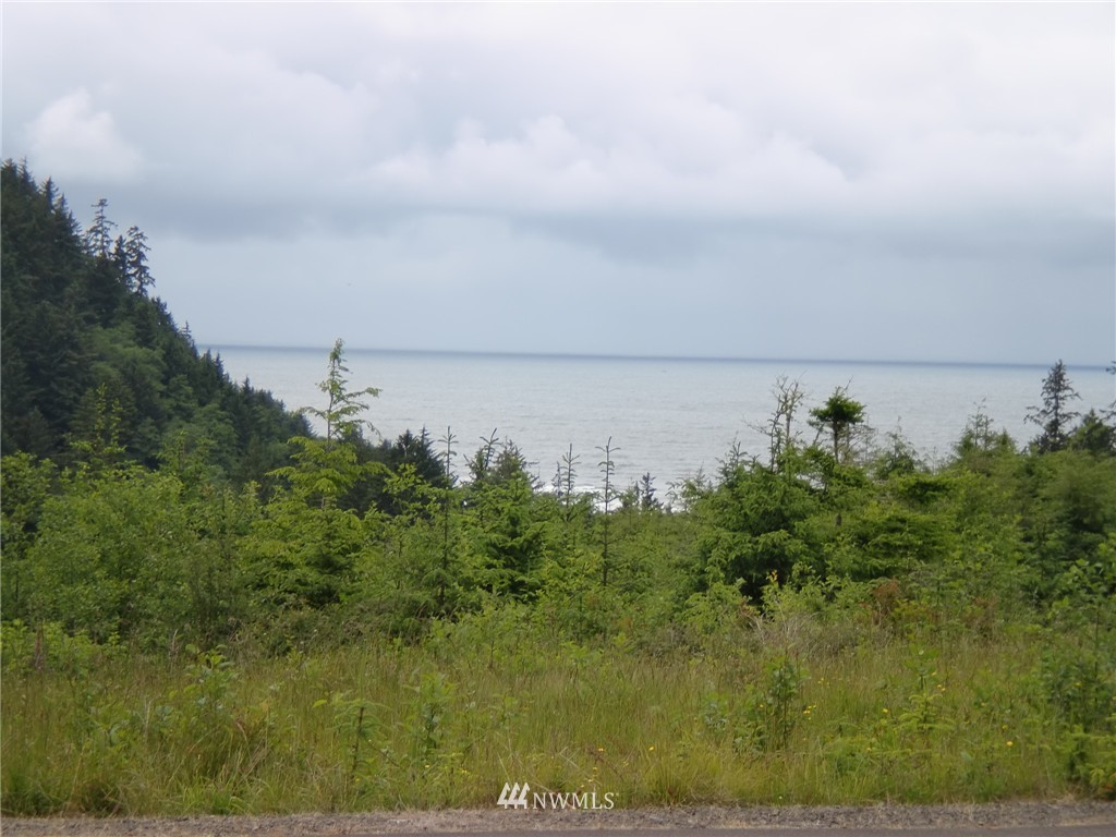 16 Lighthouse Keepers Road Ilwaco, WA 98624 - Photo 7 of 11 Gallery Image 7