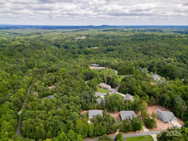 a view of a city with lush green forest